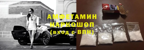 прущие грибы Козельск