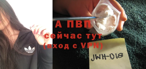 прущие грибы Козельск