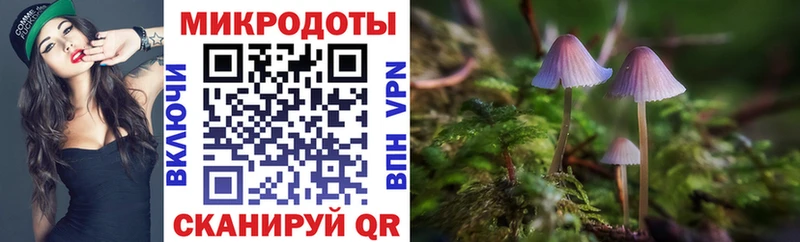 Псилоцибиновые грибы MAGIC MUSHROOMS где можно купить наркотик ОМГ ОМГ зеркало Торопец